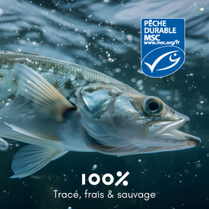 Collagène Marin d'Alaska en poudre - Nature