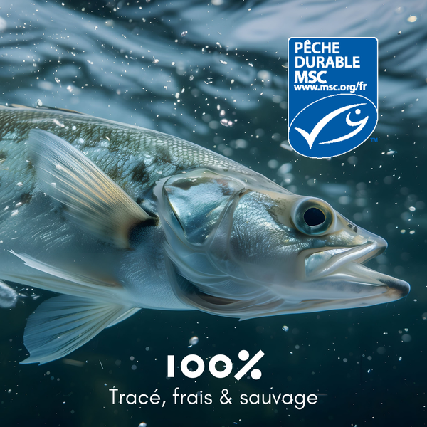 Collagène Marin d'Alaska en poudre - Nature